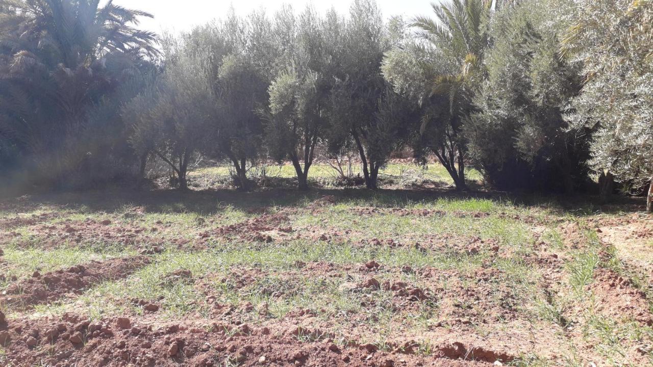 Riad Sarayas Tajda Kültér fotó