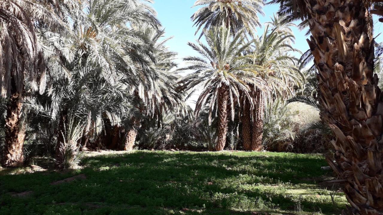 Riad Sarayas Tajda Kültér fotó