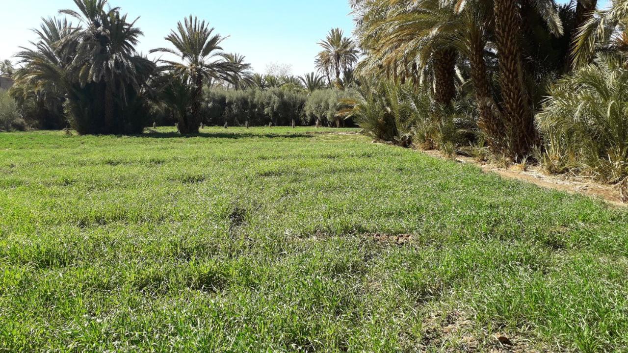 Riad Sarayas Tajda Kültér fotó